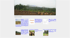 Desktop Screenshot of ndogpima.com